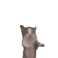 aka