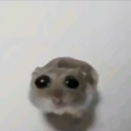 milossh