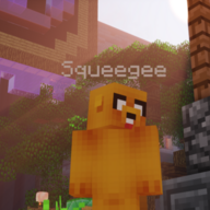 Squeegee
