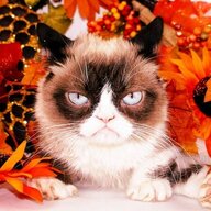 Sullen