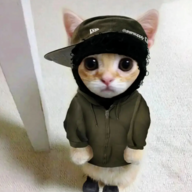 sy