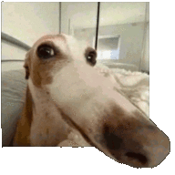 oi