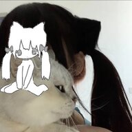senpai