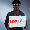 Seagull