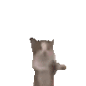 aka