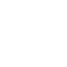 Vegasus