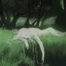 dew