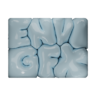 envi