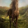 horse