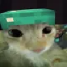 xc_