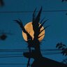 shinigami