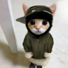 sy