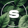 s1