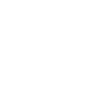 astroid