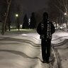 stealth