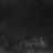 WLX