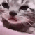 Catcri :catcri: :catcri: